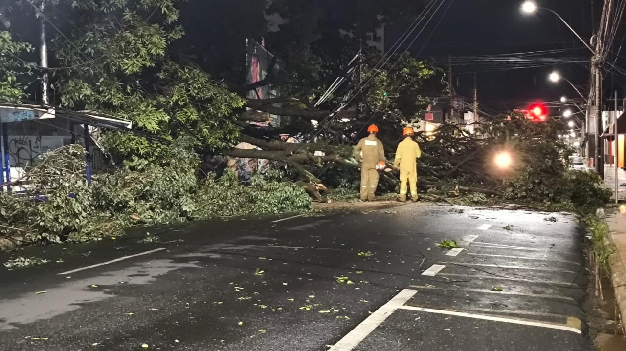 Foto 17 de 67 — TEMPORAL EM FOTOS: veja imagens de destruição em Araraquara